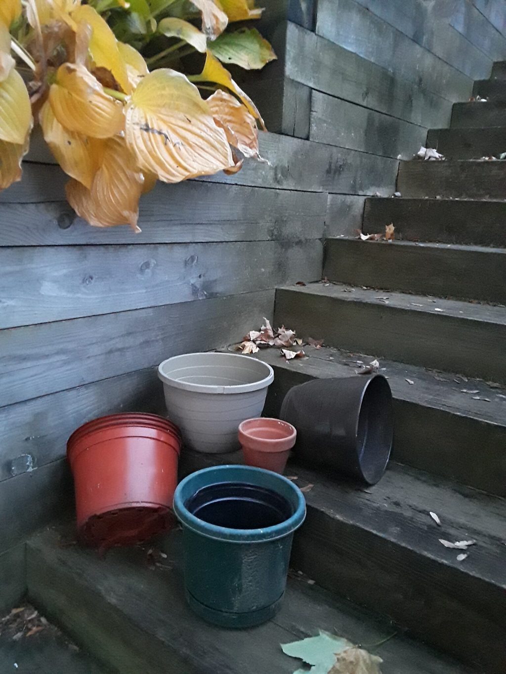 Any Ol’ Pot Will Do